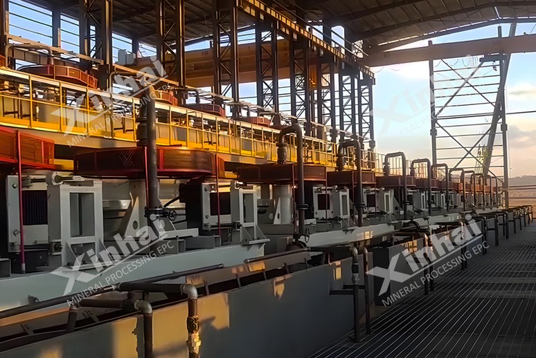 津巴布韋鋰礦項(xiàng)目：200萬t/a鋰礦選廠